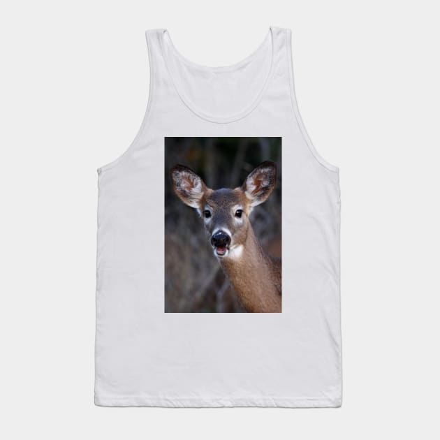 Well hello there! - White-tailed Deer Tank Top by Jim Cumming